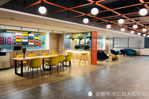 共享办公一站式创业服务 为创业者打造全链条办公解决方案